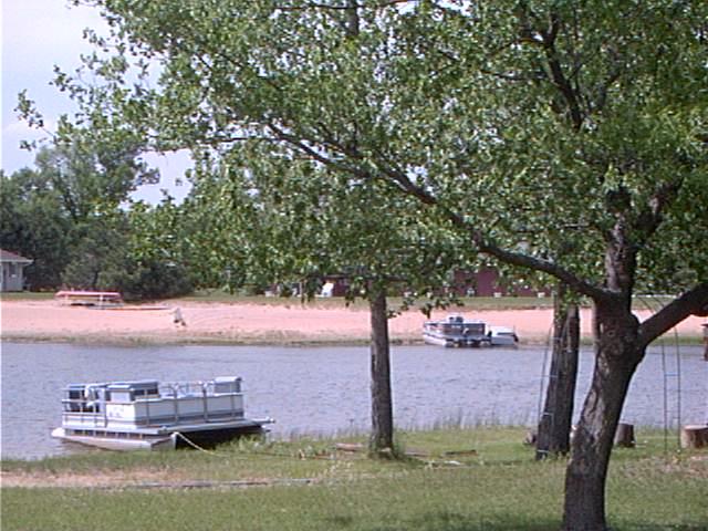 boat and trees